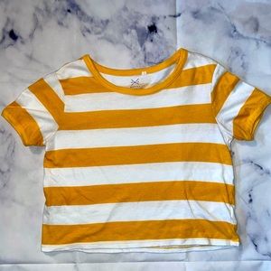 Striped Pacsun Basics shirt